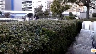 日本乱强伦最淫荡对白之我是小婊子带我去卖淫吧
